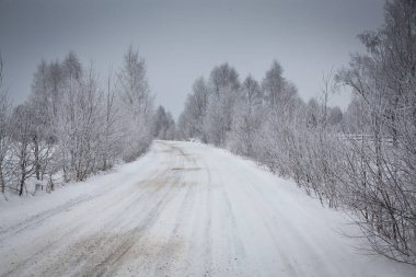 Karlı kış manzarasının Noel arkaplanı kar veya köknar ağaçlarıyla kaplı - kış büyülü bayramı
