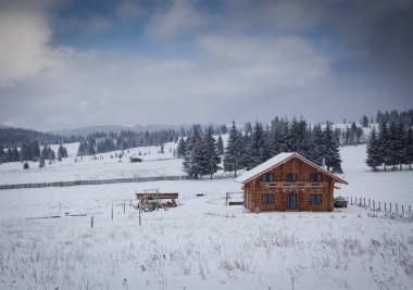 Karla kaplı ağaçlarla kaplı kış manzarası