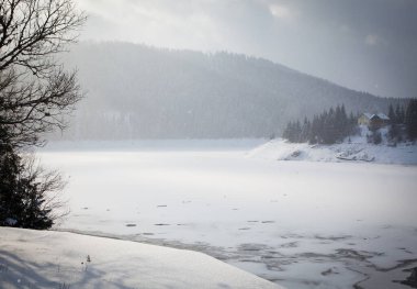 Karla kaplı ağaçlarla kaplı kış manzarası