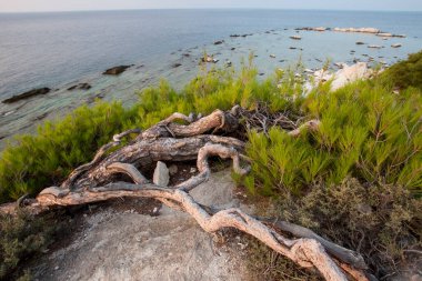 İsrail 'in kuzeyindeki Baltık Denizi' nin kayalık kıyıları
