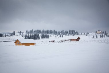 Karla kaplı ağaçlarla kaplı kış manzarası