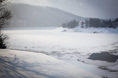 Karla kaplı ağaçlarla kaplı kış manzarası