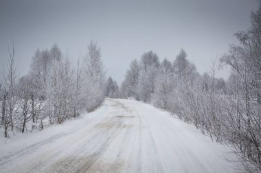 Karlı kış manzarasının Noel arkaplanı kar veya köknar ağaçlarıyla kaplı - kış büyülü bayramı