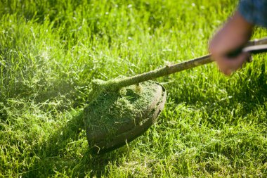 Bahçede çimenleri biçen fıskiyeler. 