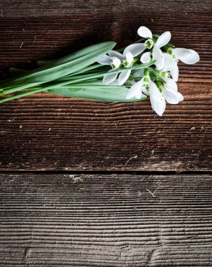 Tahta arka planda izole edilmiş güzel kar damlaları.