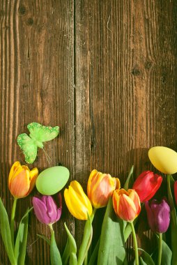 Paskalya yumurtaları ve yıpranmış ahşap arka planda taze bahar laleleri.