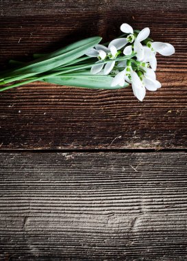 Tahta arka planda izole edilmiş güzel kar damlaları.