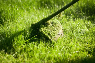 Bahçede çimenleri biçen fıskiyeler. 