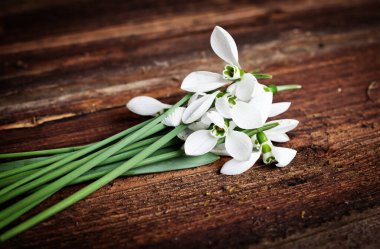 Tahta arka planda izole edilmiş güzel kar damlaları.