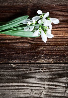 Tahta arka planda izole edilmiş güzel kar damlaları.