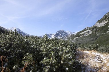 Dağ zirveleri ve yeşil çimlerle manzaralı