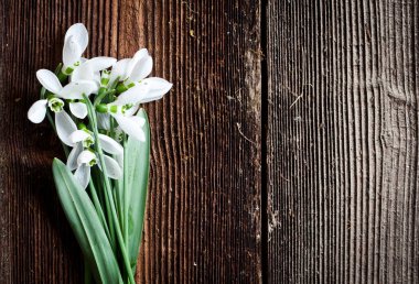Tahta arka planda izole edilmiş güzel kar damlaları.