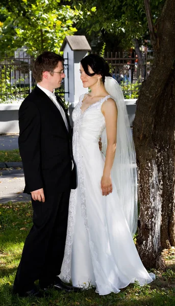 Mariée Marié Dans Parc — Photo