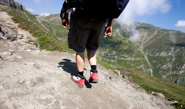 male hiker trekking in mountains, back view