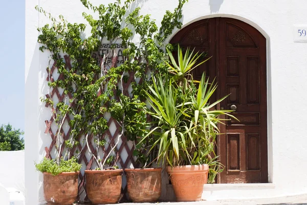 Oud Huis Met Potplanten — Stockfoto