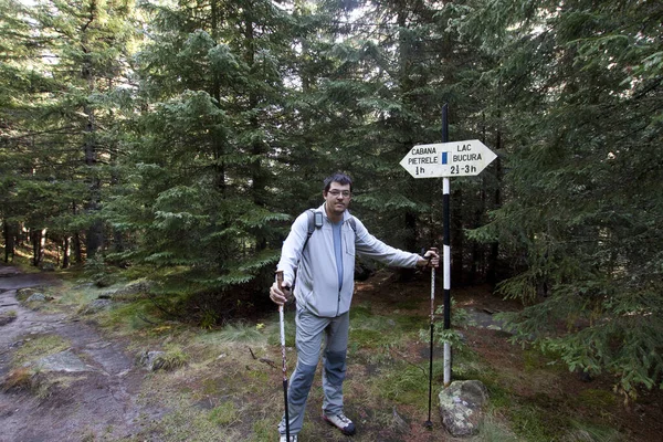 Man Hiking Forest — Stock Photo, Image