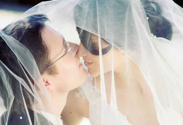 ベールとウェディングドレスを着た美しい花嫁 — ストック写真