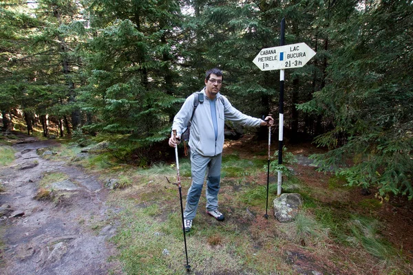 Man Hiking Forest — Stock Photo, Image