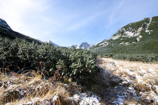 Vackert Bergslandskap Med Grön Äng Blå Himmel Med Moln — Stockfoto