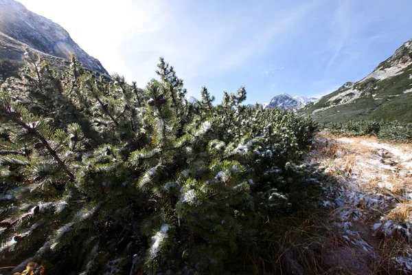 Vacker Utsikt Över Bergen — Stockfoto