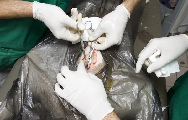 Closeup Shot Patient Surgical Mask — Stock Photo, Image