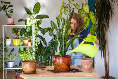 Evin içine çiçek eken kadın bahçe işleriyle uğraşıyor.