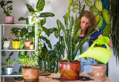 Evin içine çiçek eken kadın bahçe işleriyle uğraşıyor.