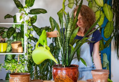 Evin içine çiçek eken kadın bahçe işleriyle uğraşıyor.