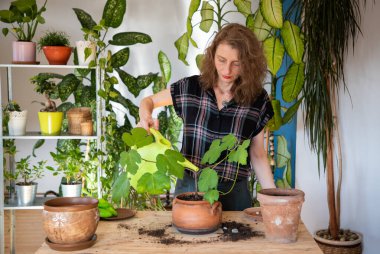 Evin içine çiçek eken kadın bahçe işleriyle uğraşıyor.