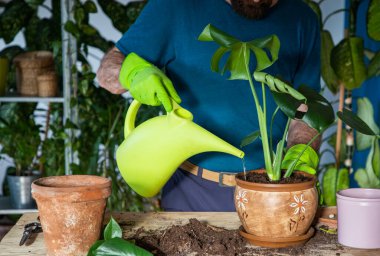 Evin içine çiçek eken bir adam. Bahçeyle uğraşıyor.