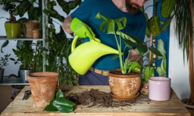 Evin içine çiçek eken bir adam. Bahçeyle uğraşıyor.