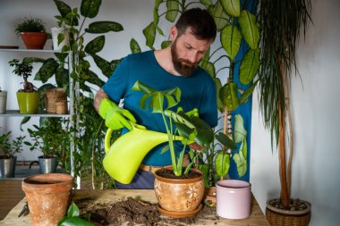 Evin içine çiçek eken bir adam. Bahçeyle uğraşıyor.