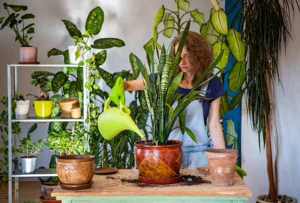 Evin içine çiçek eken kadın bahçe işleriyle uğraşıyor.