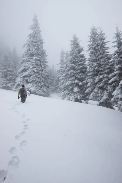 Paisagem Inverno Com Árvores Cobertas Neve — Fotografia de Stock