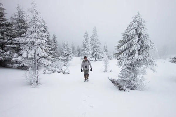 Homem Com Câmera Andando Floresta Inverno — Fotografia de Stock