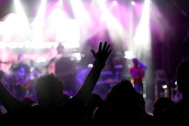 Konserde el kaldıran kalabalık - yaz müzik festivali