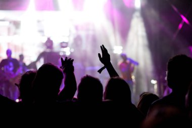 Konserde el kaldıran kalabalık - yaz müzik festivali