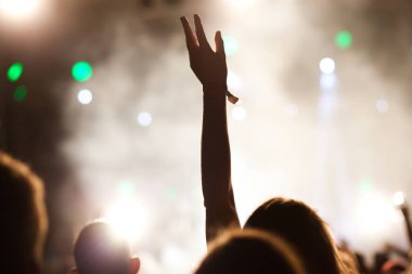 Konserde el kaldıran kalabalık - yaz müzik festivali