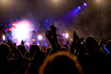 Konserde el kaldıran kalabalık - yaz müzik festivali