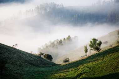  Dağlar sisli bahar sabahı - Apuseni dağları, Transilvanya