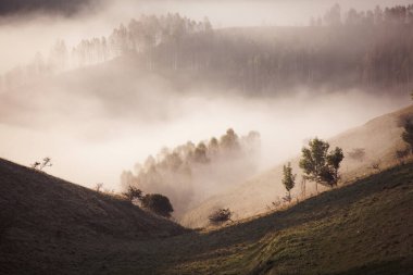  Dağlar sisli bahar sabahı - Apuseni dağları, Transilvanya