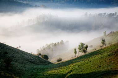  Dağlar sisli bahar sabahı - Apuseni dağları, Transilvanya