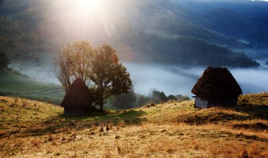 Sisli bahar sabahında dağlarda koyun çiftliği - Apuseni dağları, Transilvanya