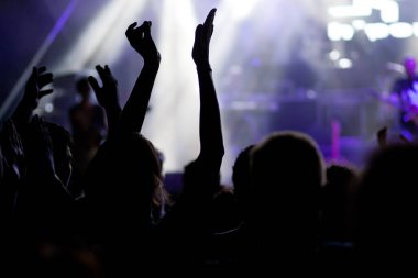 Konserde el kaldıran kalabalık - yaz müzik festivali