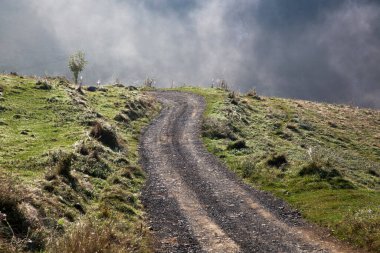 Ormandaki dağın güzel manzarası