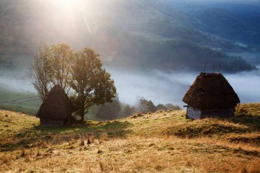 Sisli bahar sabahında dağlarda koyun çiftliği - Apuseni dağları, Transilvanya