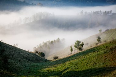  Dağlar sisli bahar sabahı - Apuseni dağları, Transilvanya