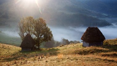 Sisli bahar sabahında dağlarda koyun çiftliği - Apuseni dağları, Transilvanya