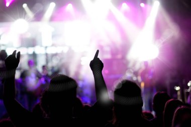 Konserde el kaldıran kalabalık - yaz müzik festivali