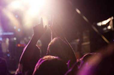 Konserde el kaldıran kalabalık - yaz müzik festivali